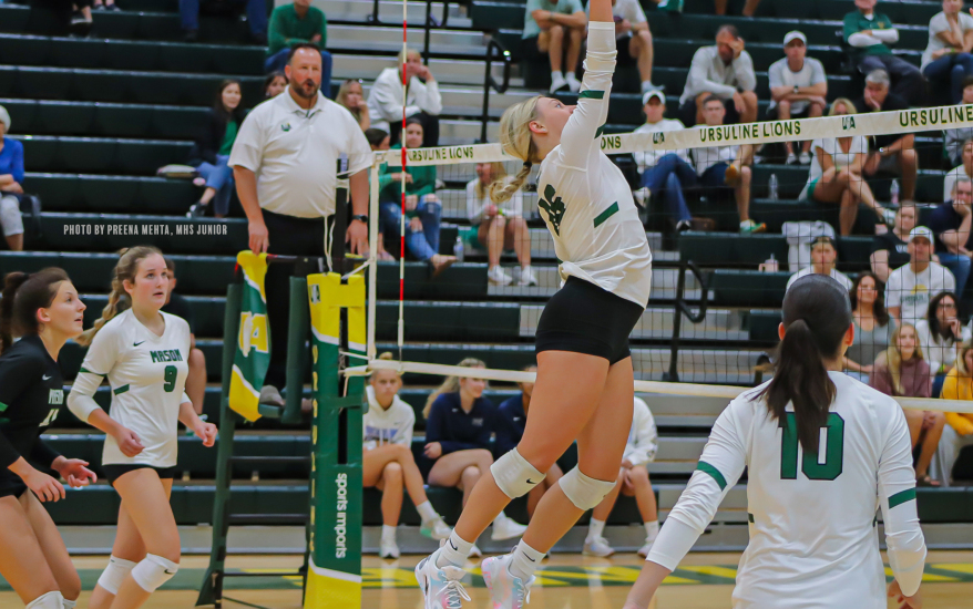 Girl playing volleyball