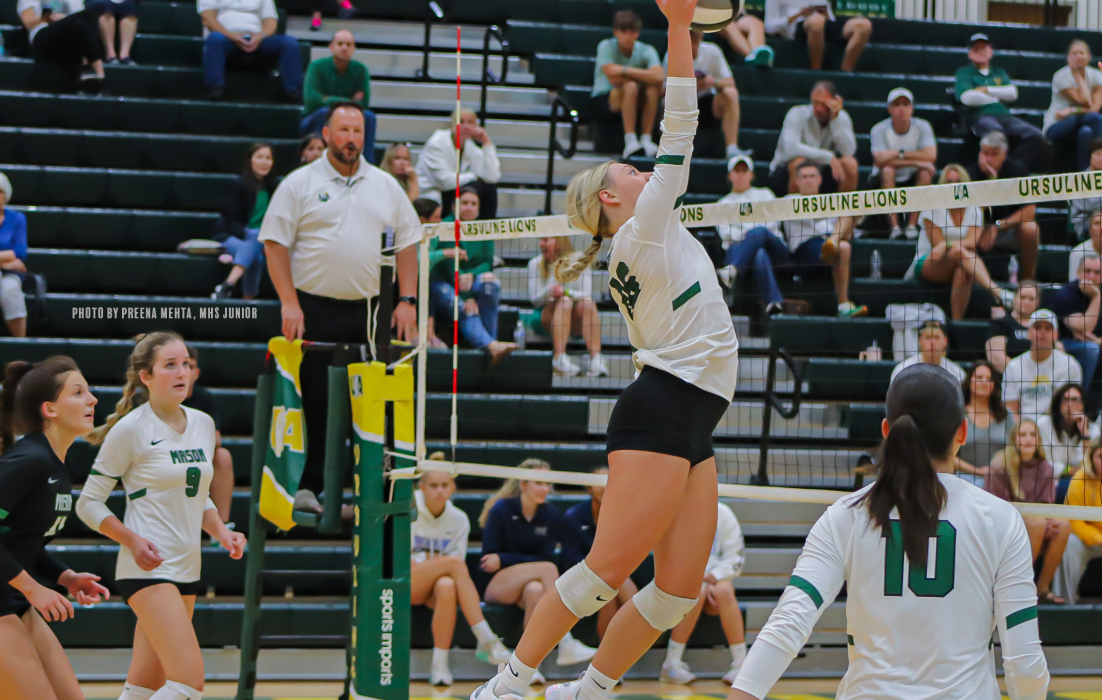 Girl playing volleyball